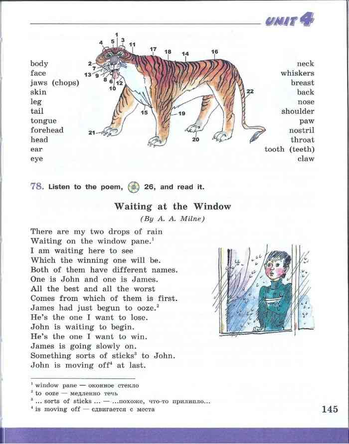 Названия животных на английском 4 класс учебник Афанасьева. 57 англ 7 класс