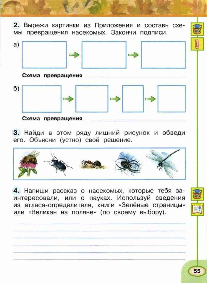 Вырежи из приложения изображение