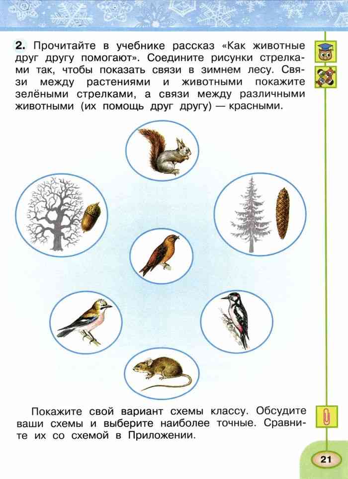 Невидимые нити 2 класс окружающий мир тетрадь. Невидимые нити в зимене лесу. Невидимые нити в зимнем лесу. Схематическая связь между растениями и животными. Невидимые нити между растениями и животными.