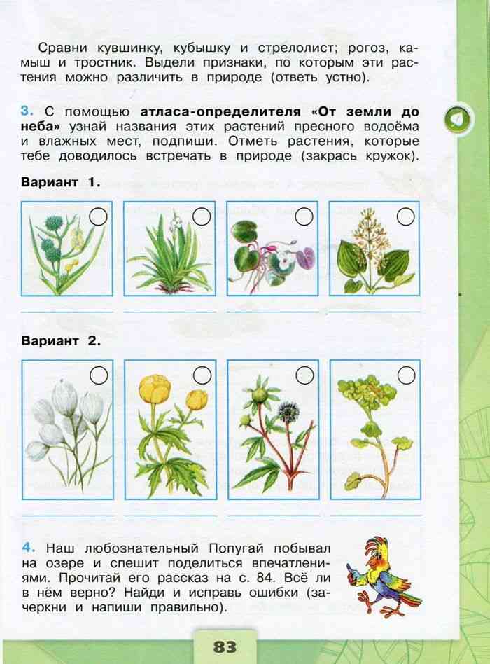 Темы проектов 4 класс окружающий мир плешаков