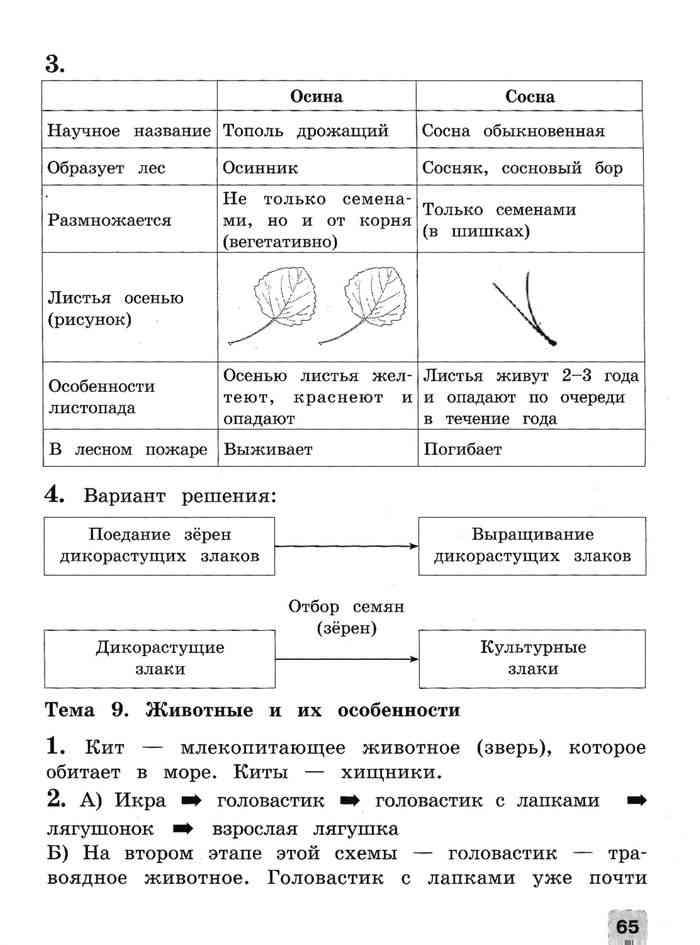 Окружающий мир тетрадь для тренировок. Окружающий мир 4 класс тетрадь для тренировки и самопроверки. Схемы процессов окружающий мир 4 класс Чудинова. Тетрадь для тренировки м самопроверки окружающий мир 4 класс Чудинова.