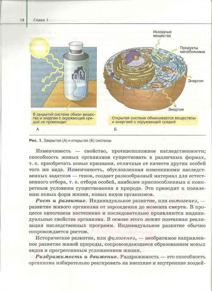 Сивоглазов биология 10 11 учебник