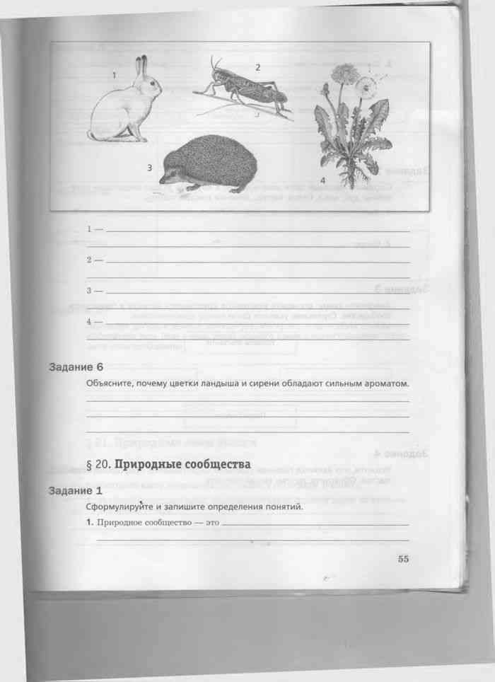 Биология 5 класс рабочая тетрадь страница 76