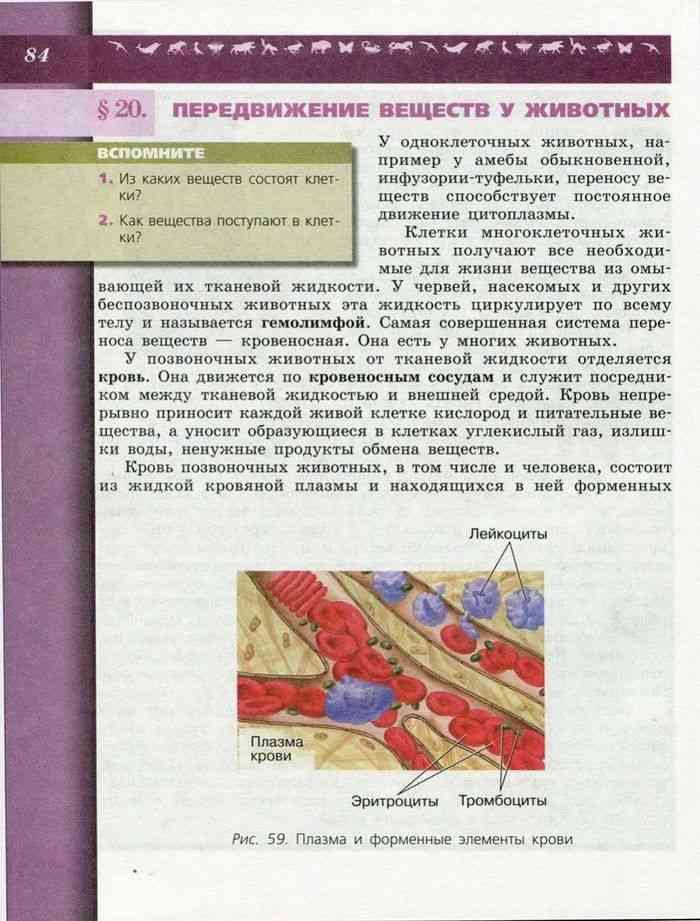 Учебник по биологии 6 класс читать. Биология 6 класс учебник Калинова. Биология 6 класс учебник оглавление.