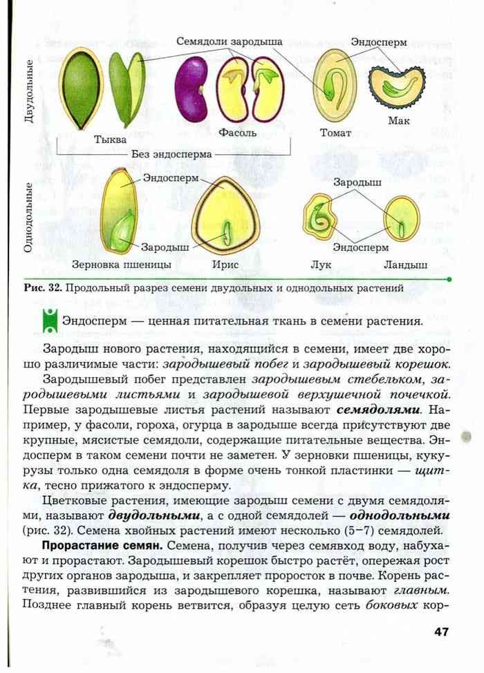 Учебник биологии 6 класс пономарева кратко