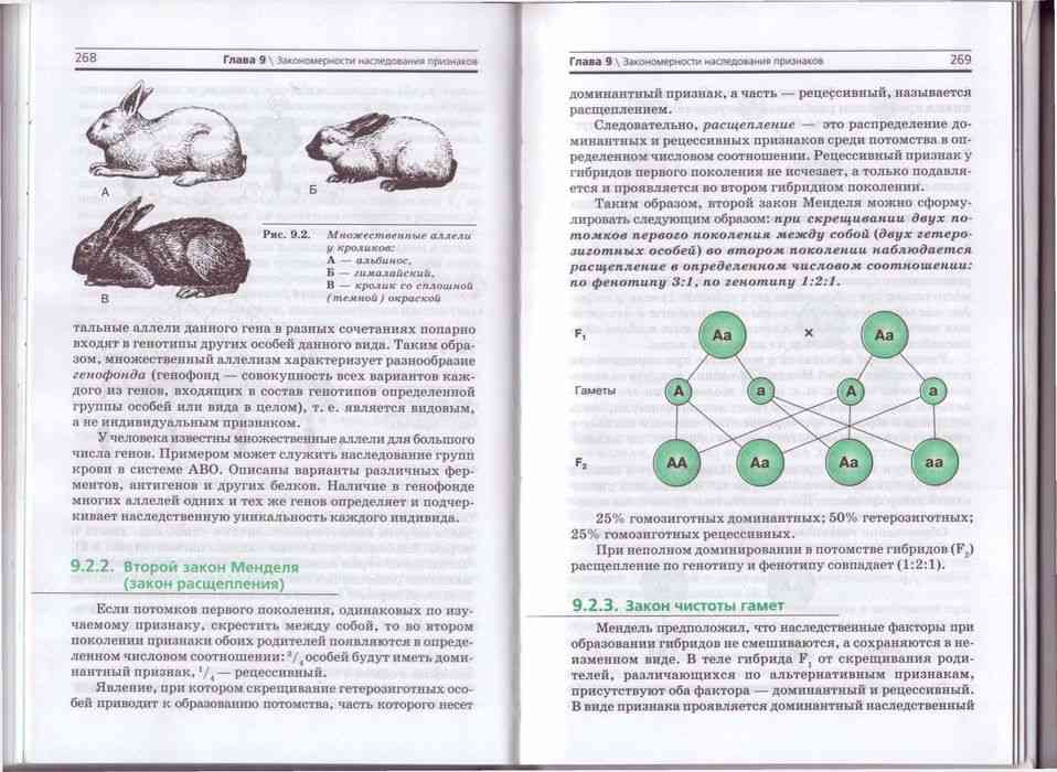 Биология 10 11 класс задачи. Биология 10 класс задания.