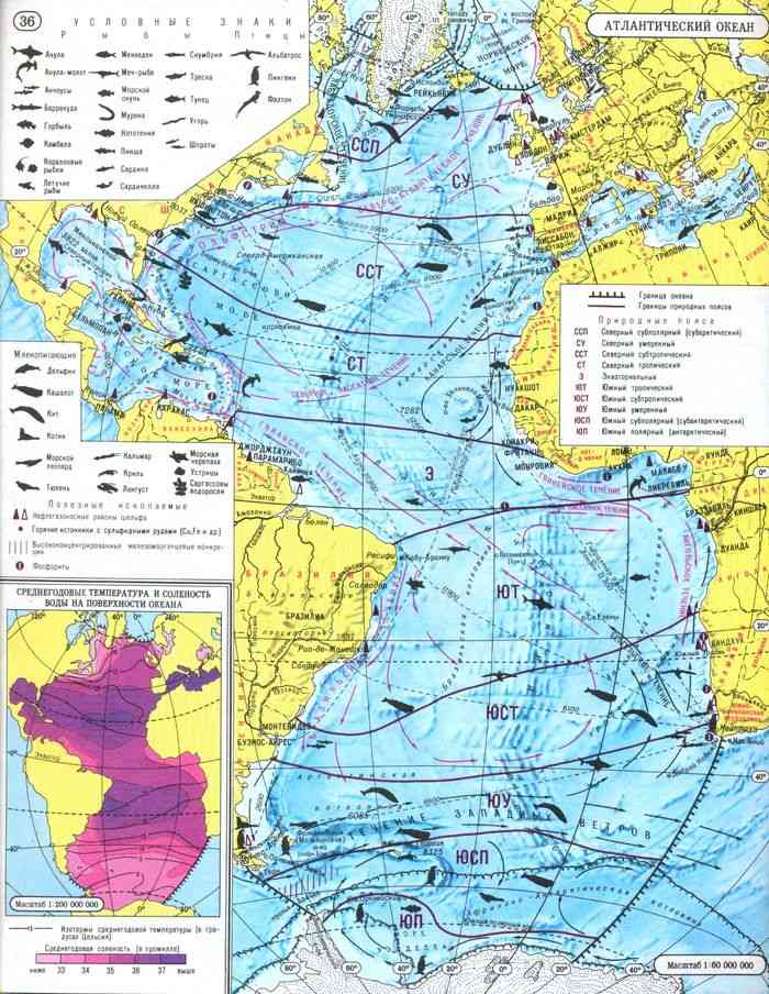 Используя карту океанов в атласе. Карта Атлантического океана 7 класс. Карта Атлантического океана 7 класс атлас. Атлас 7 класс география Атлантический океан. Контурная карта по географии 7 класс Атлантический океан.