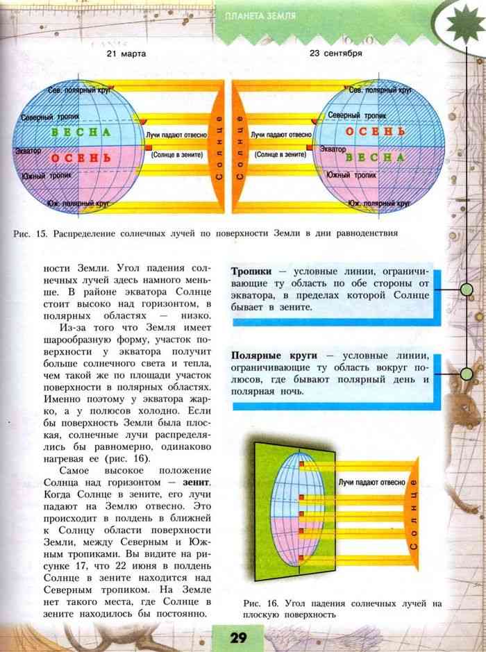 Полдень на экваторе. Положение солнца в Зените. География 6 класс учебник Алексеев. Когда на экваторе солнце в Зените. Лучи солнца падают отвесно.